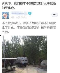 河北美院爆料视频最新,真相令人震惊！